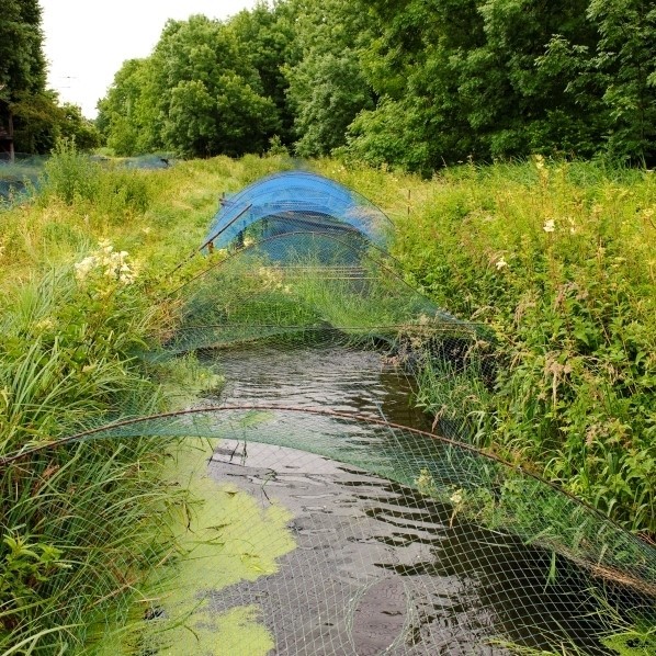 Bio Fischzucht Nadler AG