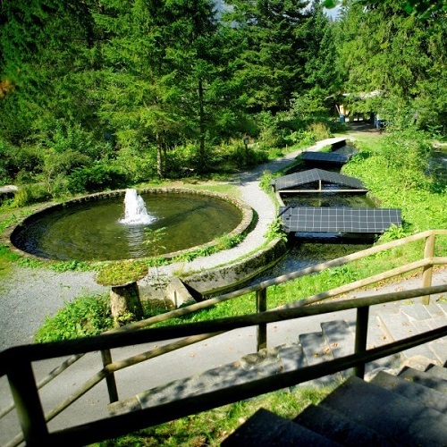 Alpine Bio-Forellenzucht Blausee AG