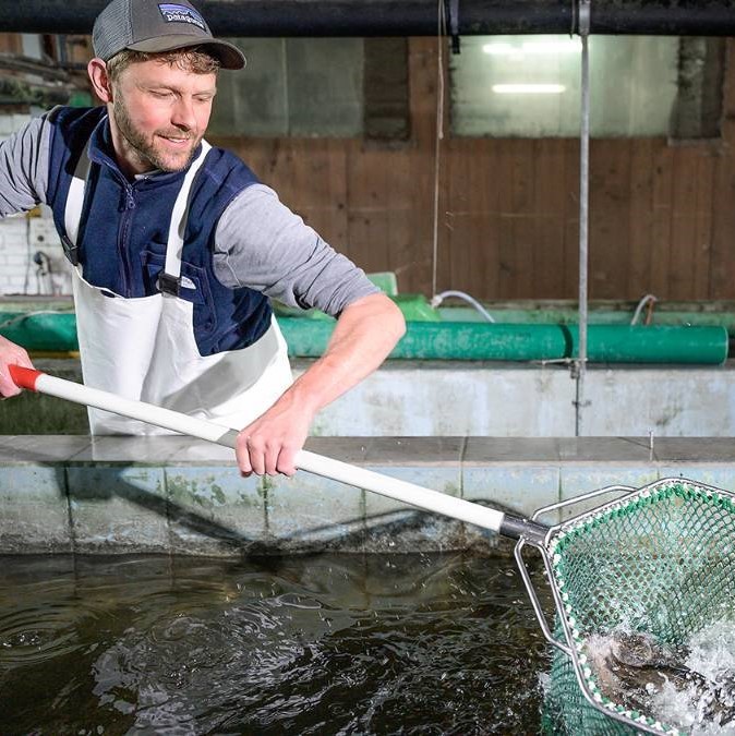 Spielhofer Fisch AG