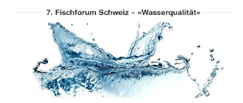 7ème Forum suisse du poisson - La qualité d'eau - mercredi 29 juin 2022, Bata Club Haus, Möhlin