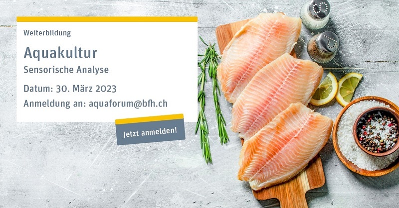 Sensorische Analyse in der Aquakultur – 1 Tages Kurs